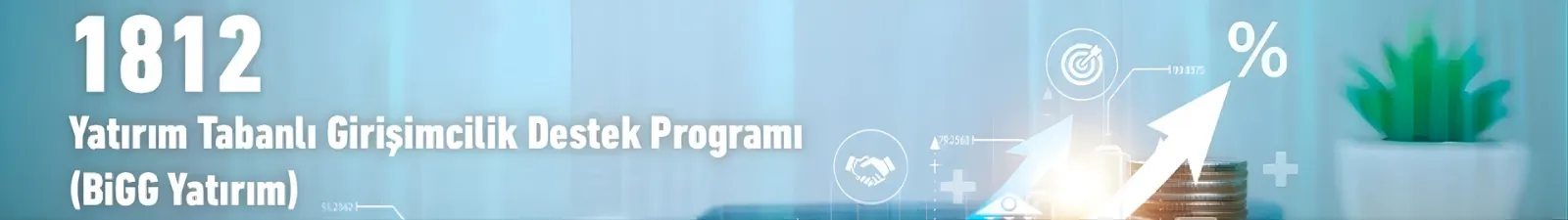 1812 - Yatırım Tabanlı Girişimcilik Destek Programı (BiGG Yatırım)