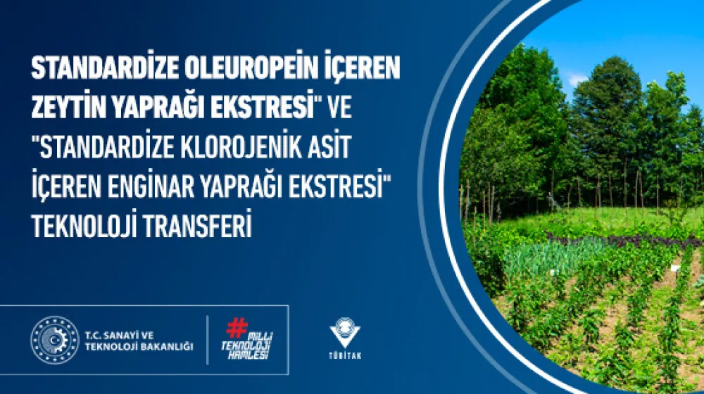 "Standardize Oleuropein İçeren Zeytin Yaprağı Ekstresi" ve  "Standardize Klorojenik Asit İçeren Enginar Yaprağı Ekstresi" Teknoloji Transferi