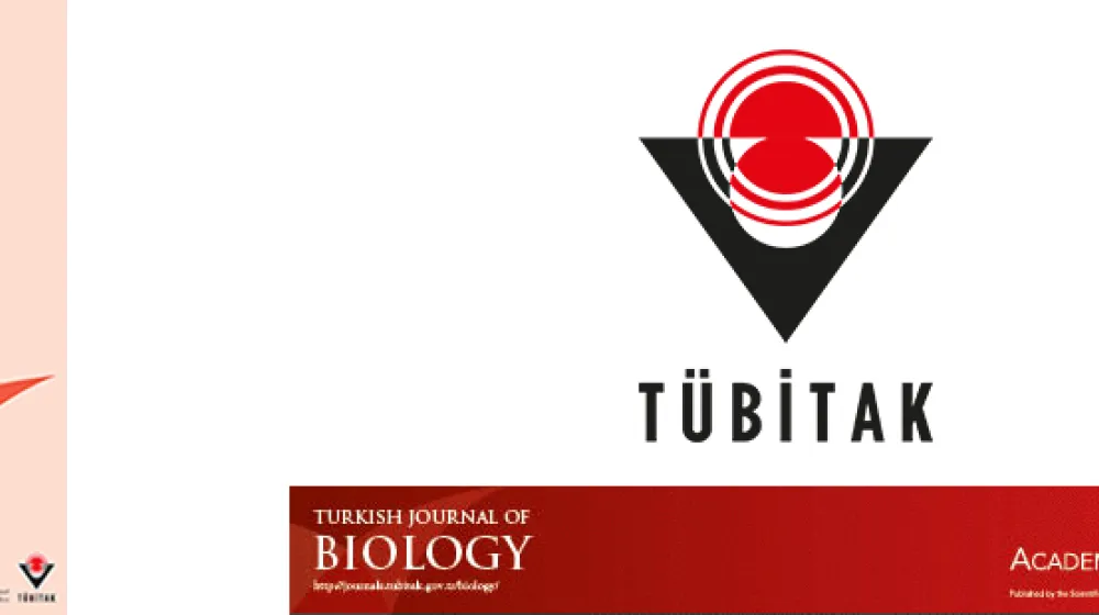 https://tubitak.gov.tr/sites/default/files/ana_16.jpg