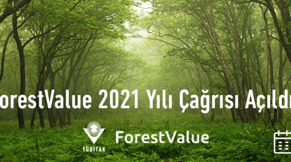 https://tubitak.gov.tr/sites/default/files/anagorsel_forest_value.jpg