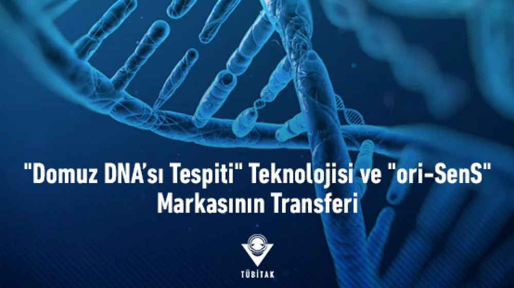 https://tubitak.gov.tr/sites/default/files/domuz-dna-ve-ori-sens_940x310_ana-gorsel_040321.jpg