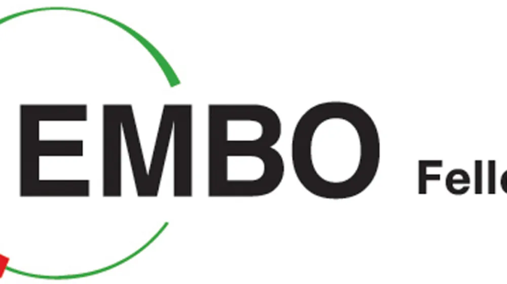 https://tubitak.gov.tr/sites/default/files/embo_ana_0.jpg
