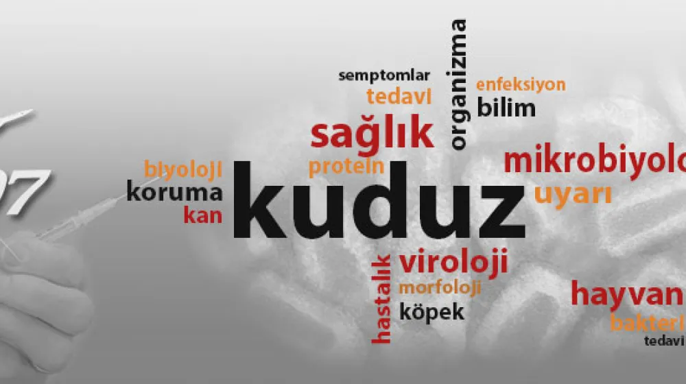 https://tubitak.gov.tr/sites/default/files/sbcagri_a.jpg