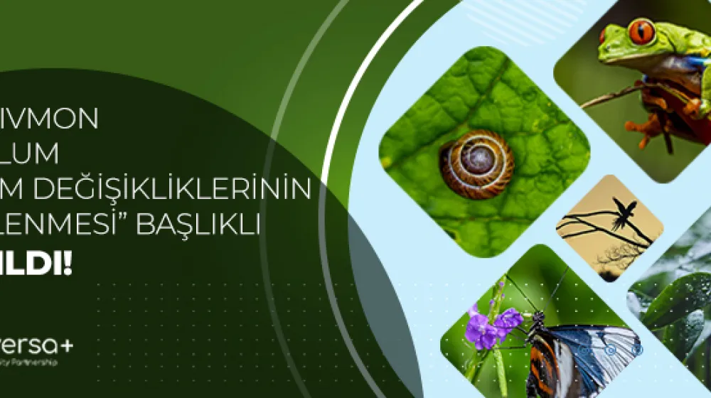 https://tubitak.gov.tr/sites/default/files/tbit_vsl_22_0447_eylul_cagri_ana_gorsel_230922.jpg