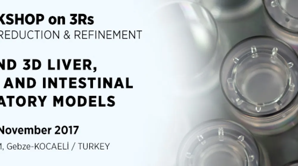 https://tubitak.gov.tr/sites/default/files/workshop_ana.jpg