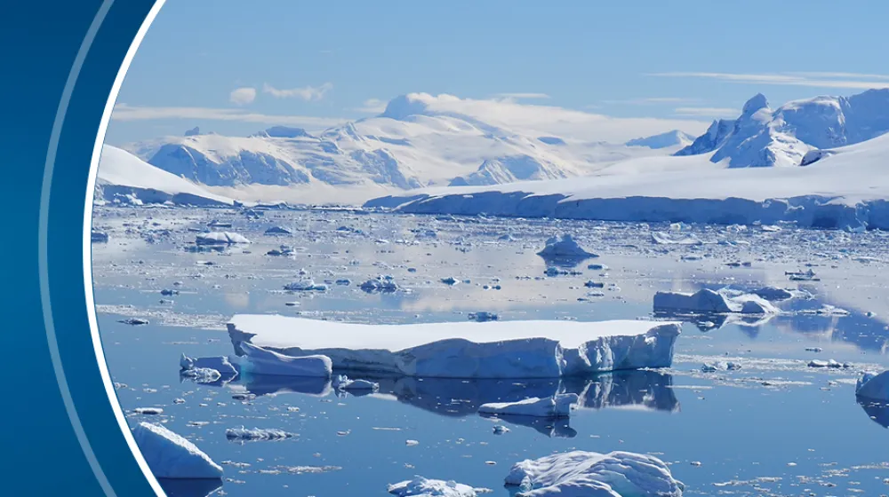 Polar