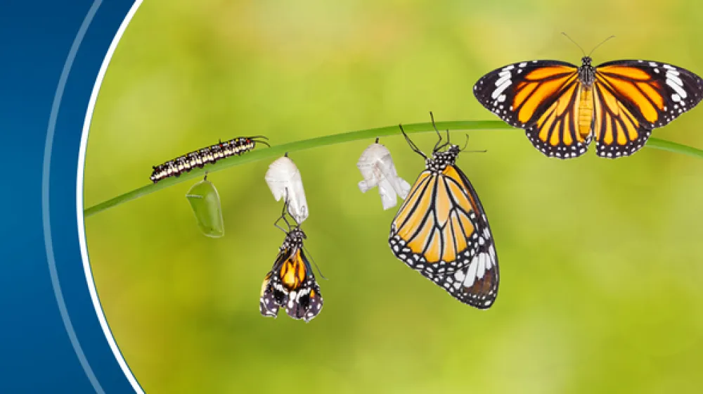 BiodivERsA+ 2024 Yılı "Biyoçeşitlilik ve Dönüştürücü Değişim - BiodivTransform" Başlıklı Çağrısı Açıldı