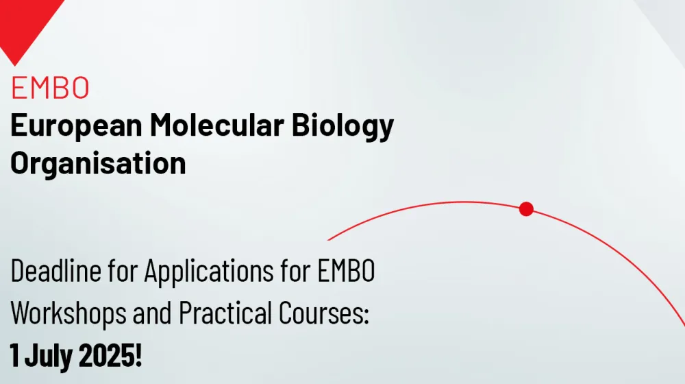 Embo
