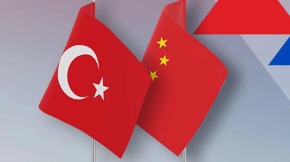 Çip