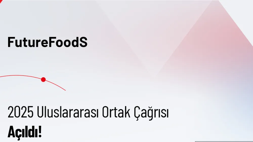 Ufuk Avrupa
