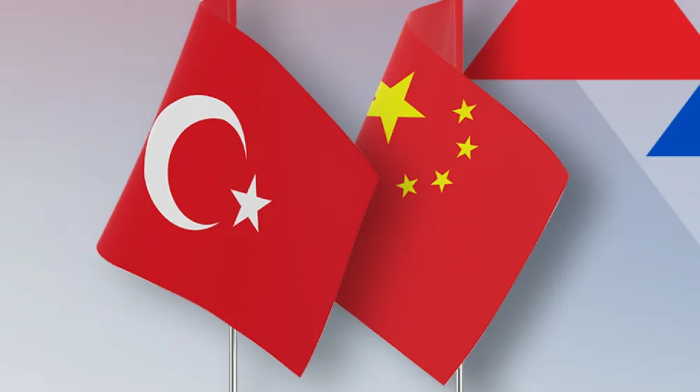 Çip
