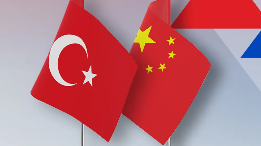 Çip