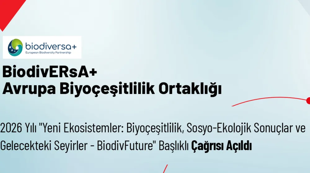 Ufuk Avrupa