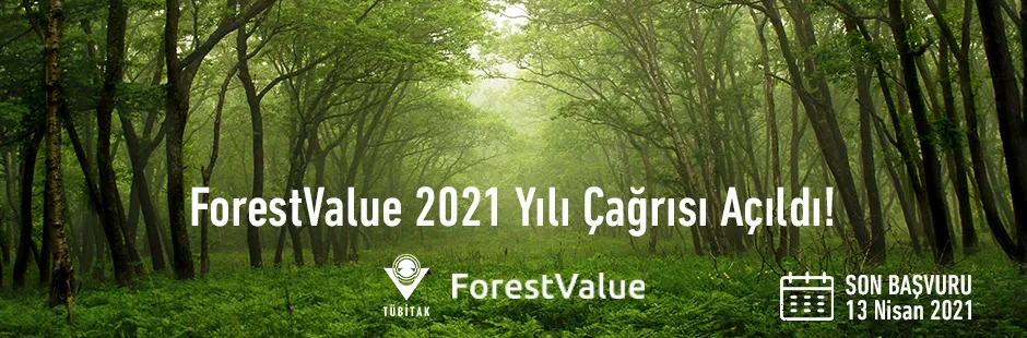 https://tubitak.gov.tr/sites/default/files/anagorsel_forest_value.jpg