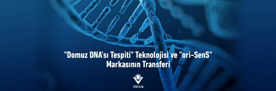 https://tubitak.gov.tr/sites/default/files/domuz-dna-ve-ori-sens_940x310_ana-gorsel_040321.jpg
