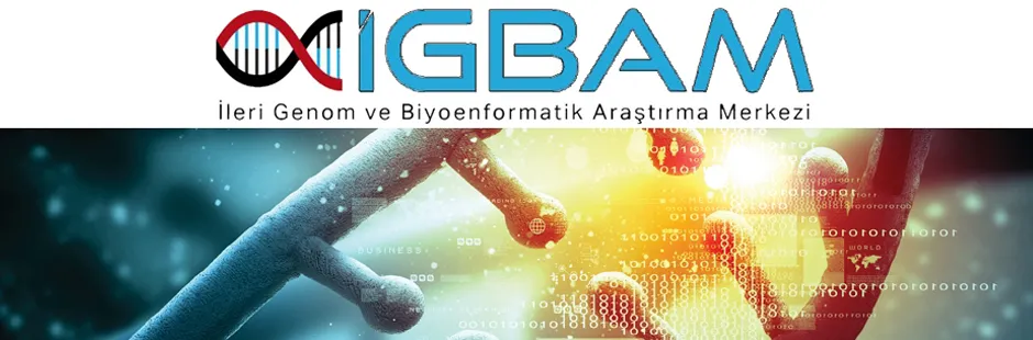 https://tubitak.gov.tr/sites/default/files/igbam-2.jpg https://tubitak.gov.tr/sites/default/files/igbam-2.jpg