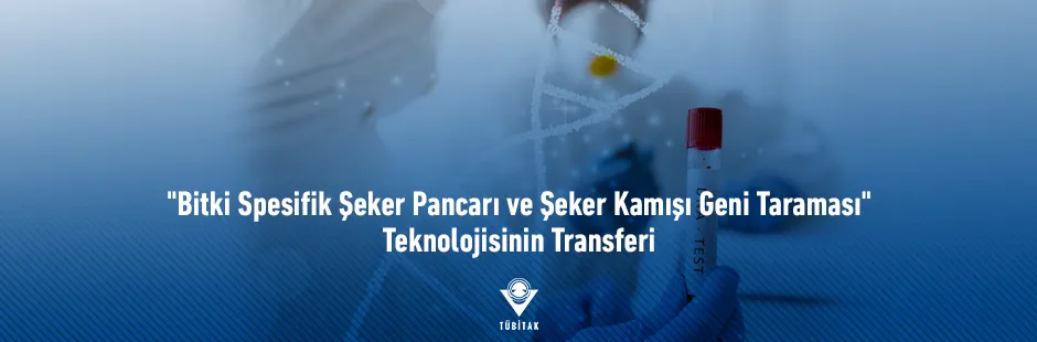 https://tubitak.gov.tr/sites/default/files/seker-pancari-ve-seker-kamisi-geni_940x310_ana-gorsel_040321.jpg