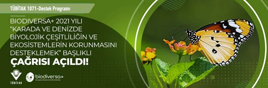 https://tubitak.gov.tr/sites/default/files/tbit_vsl_ekim_cagri_biodiversa_261021_ana_gorsel_940x310.jpg https://tubitak.gov.tr/sites/default/files/tbit_vsl_ekim_cagri_biodiversa_261021_ana_gorsel_940x310.jpg