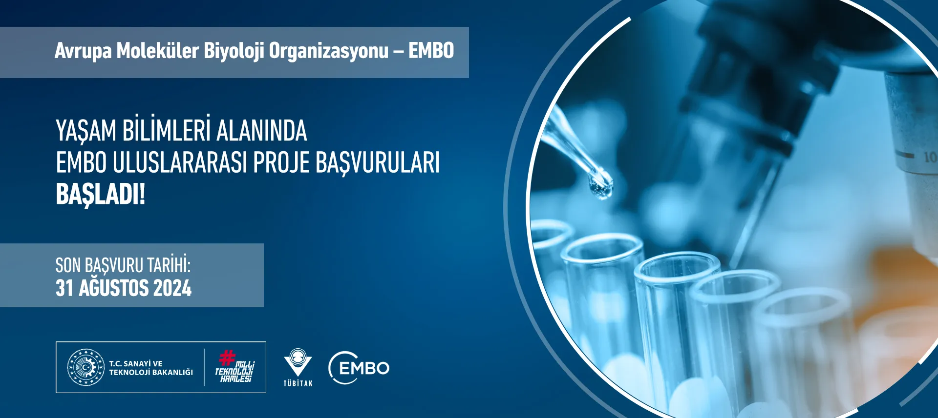 EMBO Uluslararası Proje 