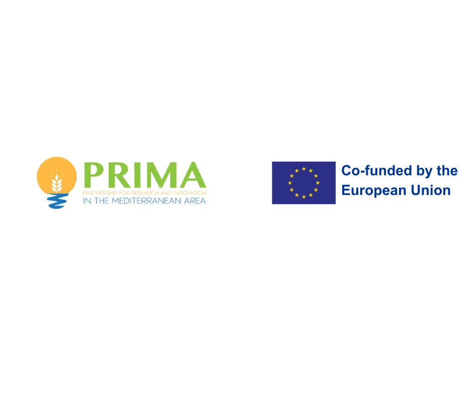 PRIMA_l