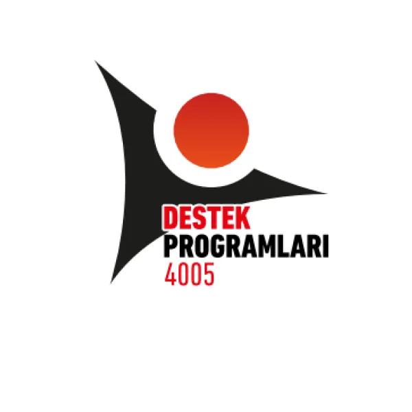 4005 Program Logosu