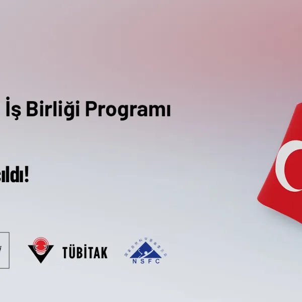 Çip
